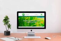 Разработка сайтов